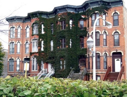 Twitter / LDGConsulting: Is Vine City on this track? …